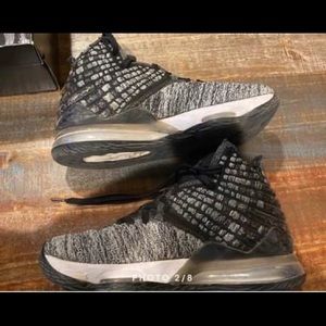 LeBron 17 'In The Arena'